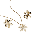 Conjunto Brinco e Colar Flor Orgânica Banhado a Ouro 18K